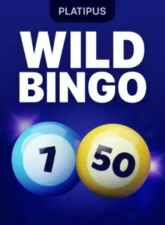 Wild Bingo
