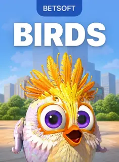 Birds
